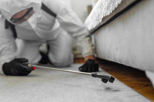 Professional Bed Bug Control technician working in Herscher, IL